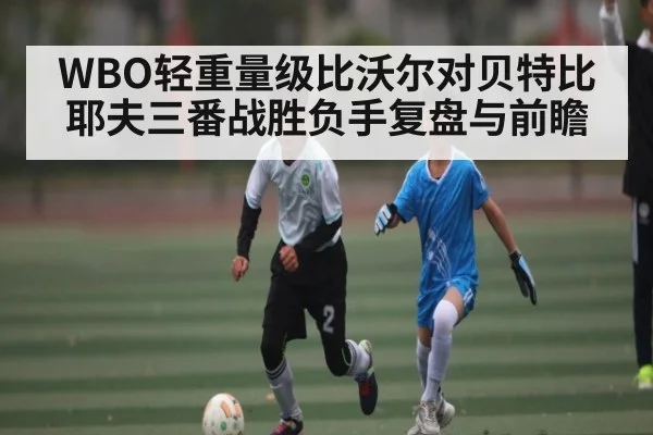 WBO轻重量级比沃尔对贝特比耶夫三番战胜负手复盘与前瞻