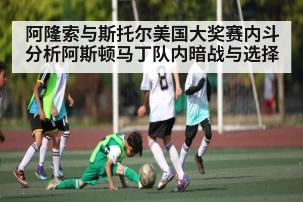 阿隆索与斯托尔美国大奖赛内斗分析阿斯顿马丁队内暗战与选择